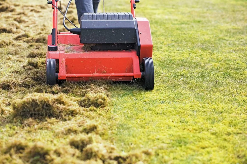 Lawn care project in Sioux Falls, SD