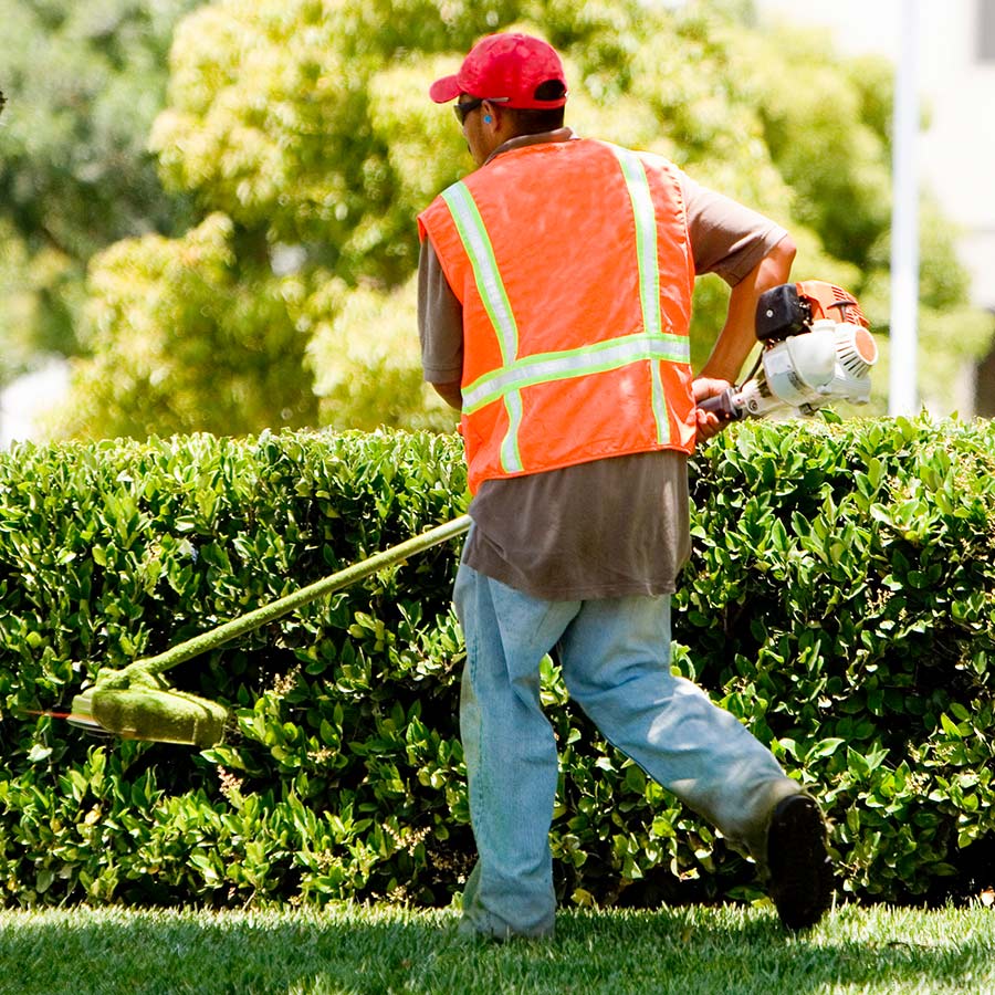 Man uses Edger to Clean Up Bushes | Next Level Outdoor Services