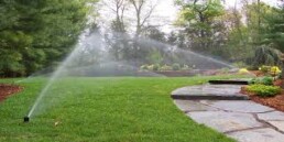 Water splash - Lawn care | Next Level Outdoor Services