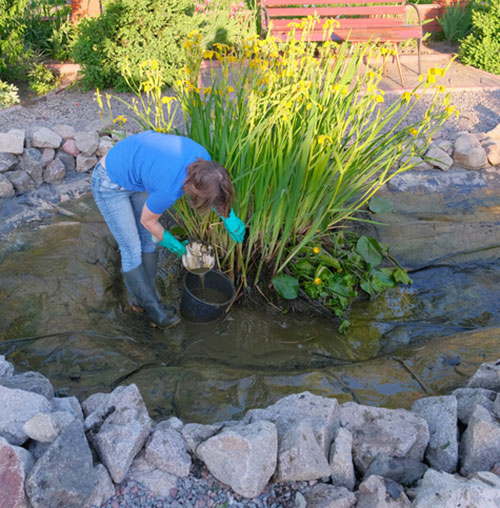 Pond Maintenance Service | Next Level Outdoor Services