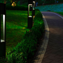 Landscape and walkway with lights | Next Level Outdoor Services