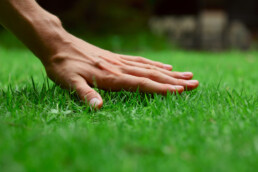 residential and Commercial Lawn Care